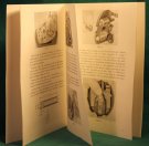 suppl. för arb-anv. 4-vxl DKW